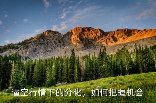 逼空行情下的分化，如何把握機(jī)會