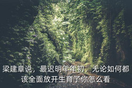 梁建章說，最遲明年年初，無論如何都該全面放開生育了你怎么看