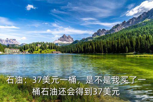 37美元的手續(xù)費是多少,37美元時的收益大概是多少