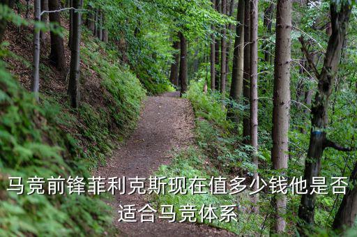 馬競(jìng)負(fù)債多少,他是否適合馬競(jìng)體系
