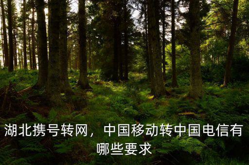 湖北攜號(hào)轉(zhuǎn)網(wǎng)，中國(guó)移動(dòng)轉(zhuǎn)中國(guó)電信有哪些要求