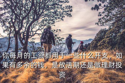 你每月的工資都用于一些什么開(kāi)支，如果有多余的錢，是放活期還是做理財(cái)投資