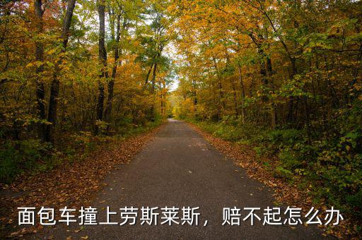 面包車撞上勞斯萊斯，賠不起怎么辦