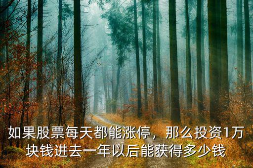 如果股票每天都能漲停，那么投資1萬塊錢進去一年以后能獲得多少錢