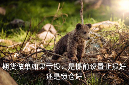 期貨做單如果虧損，是提前設(shè)置止損好還是鎖倉好