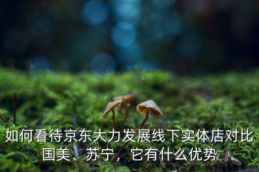 如何看待京東大力發(fā)展線下實(shí)體店對比國美、蘇寧，它有什么優(yōu)勢