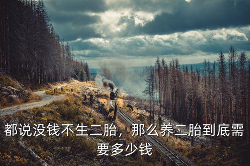 二胎多少錢(qián),那么養(yǎng)二胎到底需要多少錢(qián)
