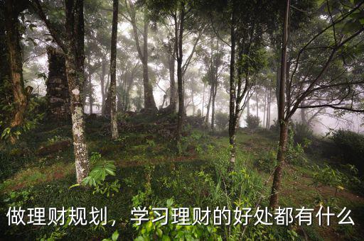做理財規(guī)劃，學習理財?shù)暮锰幎加惺裁? class=