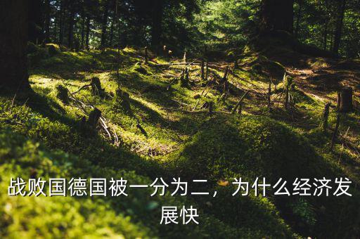 戰(zhàn)敗國德國被一分為二，為什么經(jīng)濟(jì)發(fā)展快