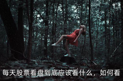 每天股票看盤到底應(yīng)該看什么，如何看