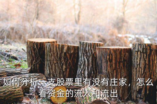 如何分析一支股票里有沒有莊家，怎么看資金的流入和流出