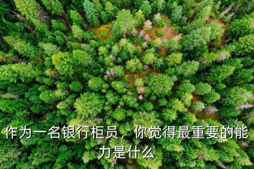作為一名銀行柜員，你覺得最重要的能力是什么