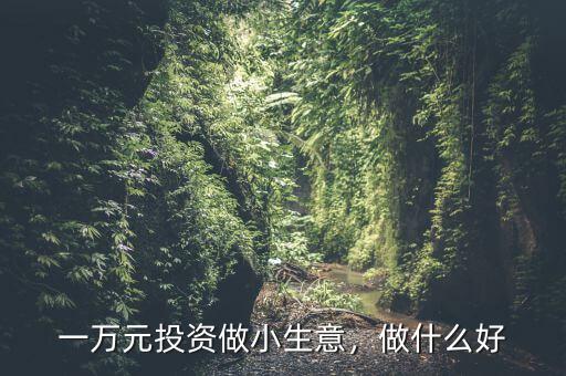 一萬元投資做小生意，做什么好