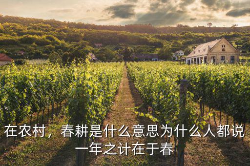 在農(nóng)村，春耕是什么意思為什么人都說一年之計在于春