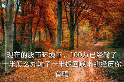 現(xiàn)在的股市環(huán)境下，100萬(wàn)已經(jīng)輸了一半怎么辦輸了一半扳回成本的經(jīng)歷你有嗎