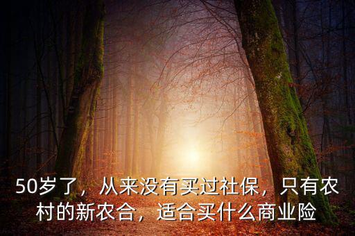 50歲了，從來沒有買過社保，只有農(nóng)村的新農(nóng)合，適合買什么商業(yè)險