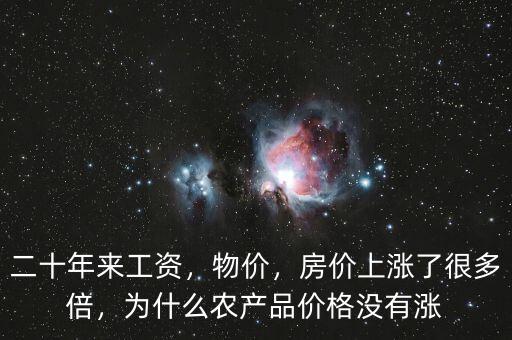 二十年來工資，物價，房價上漲了很多倍，為什么農(nóng)產(chǎn)品價格沒有漲