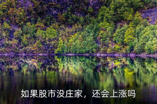 如果股市沒莊家，還會上漲嗎