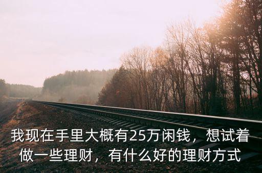 我現(xiàn)在手里大概有25萬閑錢，想試著做一些理財，有什么好的理財方式