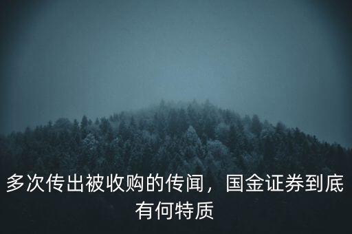 國金財富和國金證券是什么關系,國金證券是頭部的小券商嗎