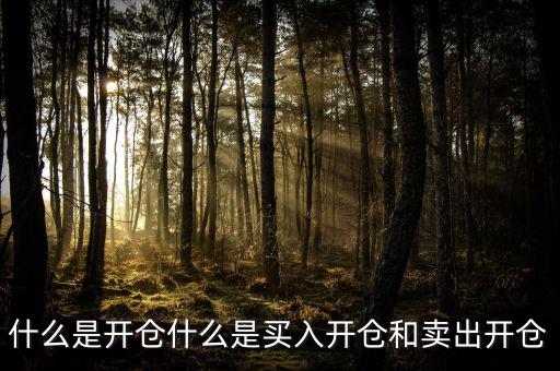 開(kāi)倉(cāng)買需要什么手續(xù),期貨憑什么開(kāi)倉(cāng)