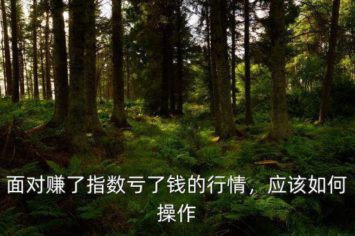 面對(duì)賺了指數(shù)虧了錢(qián)的行情，應(yīng)該如何操作