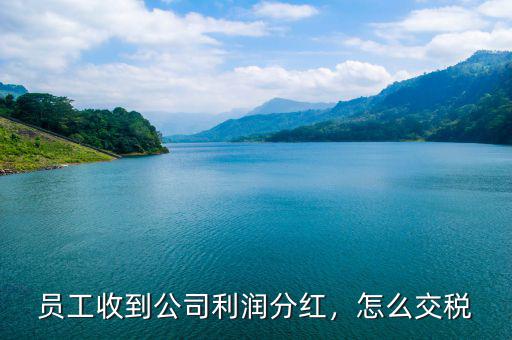 員工收到公司利潤分紅，怎么交稅