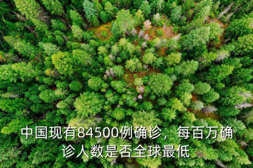 中國(guó)現(xiàn)有84500例確診，每百萬(wàn)確診人數(shù)是否全球最低