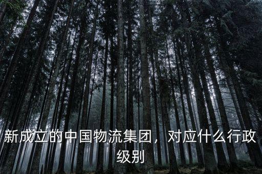 新成立的中國物流集團，對應(yīng)什么行政級別