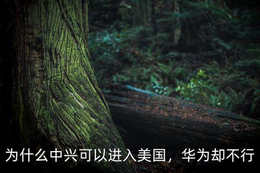 為什么中興可以進(jìn)入美國，華為卻不行