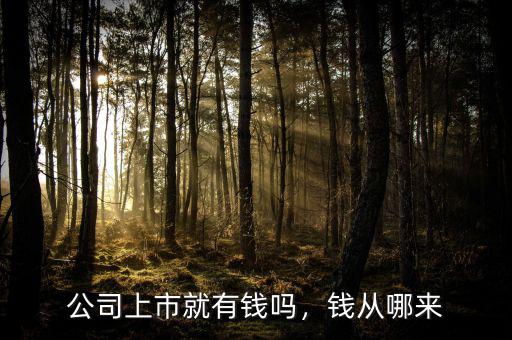 公司上市就有錢嗎，錢從哪來