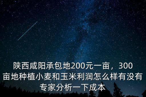 陜西咸陽承包地200元一畝，300畝地種植小麥和玉米利潤怎么樣有沒有專家分析一下成本