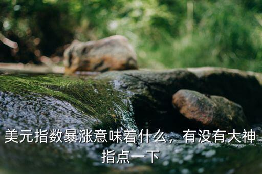 美元指數(shù)暴漲意味著什么，有沒有大神指點(diǎn)一下