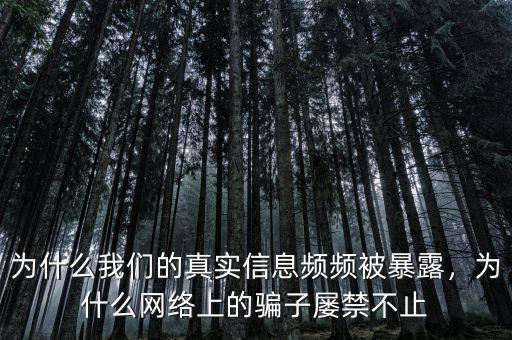 為什么我們的真實(shí)信息頻頻被暴露，為什么網(wǎng)絡(luò)上的騙子屢禁不止