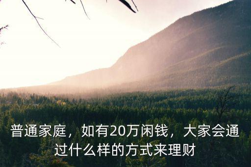 普通家庭，如有20萬閑錢，大家會通過什么樣的方式來理財