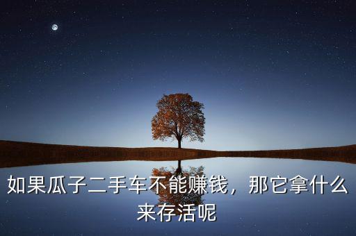 如果瓜子二手車不能賺錢，那它拿什么來存活呢