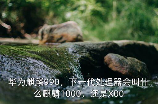 華為麒麟990，下一代處理器會(huì)叫什么麒麟1000，還是X00
