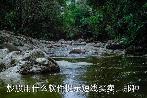 炒股用什么軟件提示短線買賣，那種