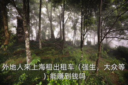 外地人來上海租出租車（強(qiáng)生，大眾等）能賺到錢嗎