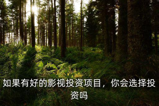 如果有好的影視投資項(xiàng)目，你會(huì)選擇投資嗎
