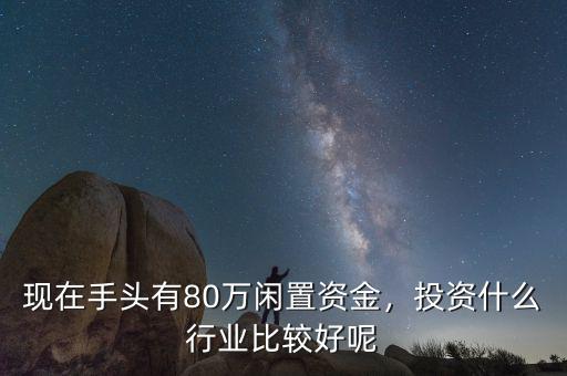 現(xiàn)在手頭有80萬閑置資金，投資什么行業(yè)比較好呢