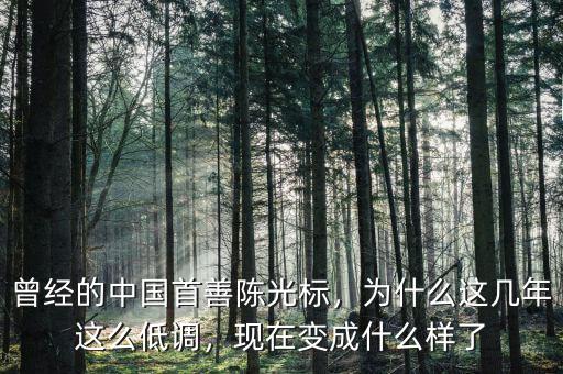 曾經(jīng)的中國(guó)首善陳光標(biāo)，為什么這幾年這么低調(diào)，現(xiàn)在變成什么樣了