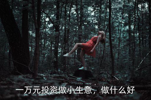 一萬元投資做小生意，做什么好