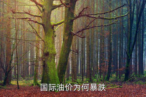 國際油價(jià)為何暴跌
