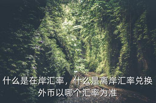 什么是在岸匯率，什么是離岸匯率兌換外幣以哪個匯率為準(zhǔn)