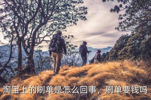 淘寶上的刷單是怎么回事，刷單要錢嗎