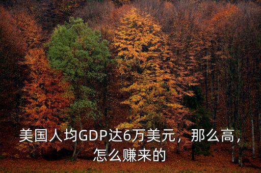 美國人均GDP達(dá)6萬美元，那么高，怎么賺來的