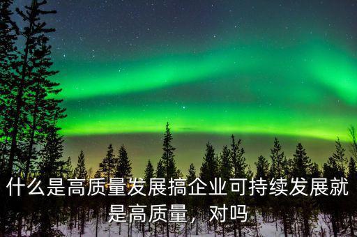 什么是高質(zhì)量發(fā)展搞企業(yè)可持續(xù)發(fā)展就是高質(zhì)量，對嗎
