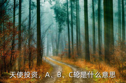 天使投資，A、B、C輪是什么意思