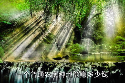 普通農民年收入多少,一般的農民家庭年收入是多少